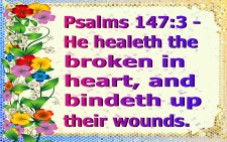 healed (12)